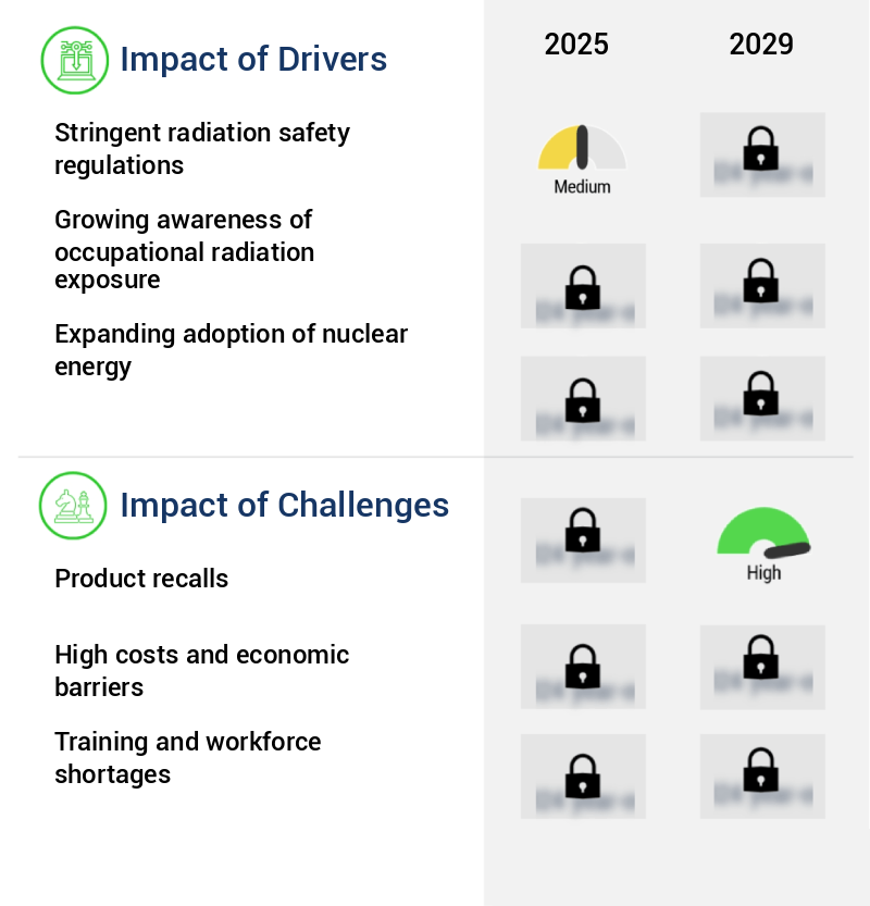 Dosimetry Equipment Market Size