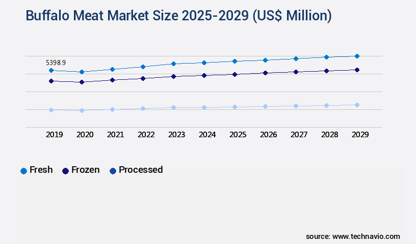 Buffalo Meat Market Size