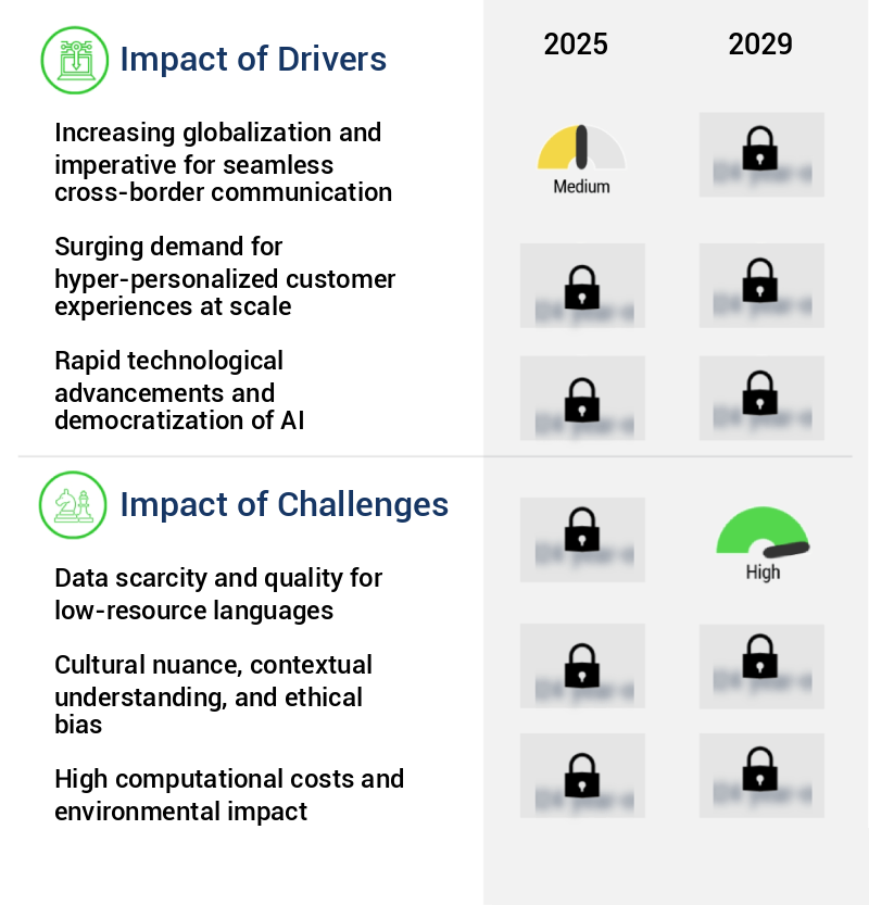 Multilingual LLM Market Size
