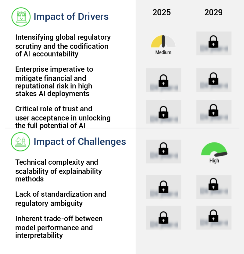 AI Explainability And Transparency Market Size