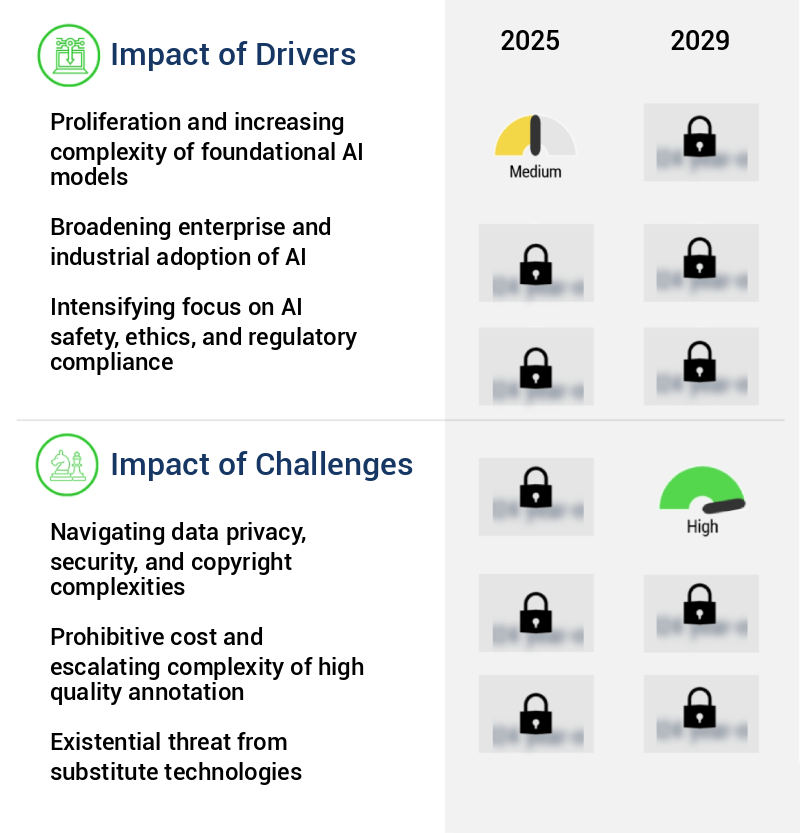 AI Training Dataset Market Size