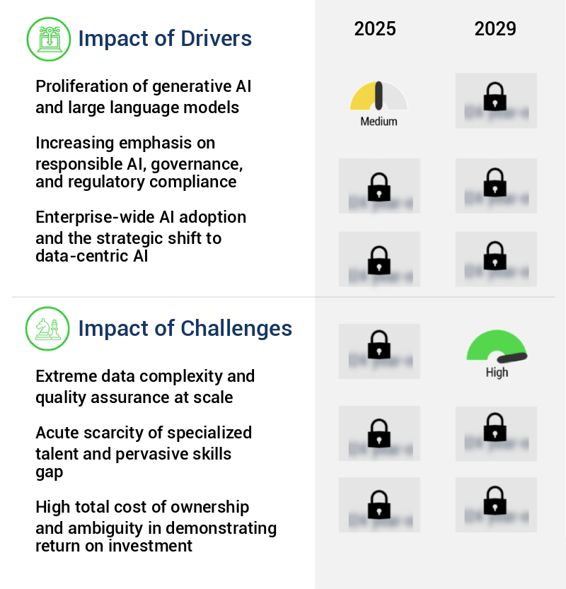 AI Data Management Market Size