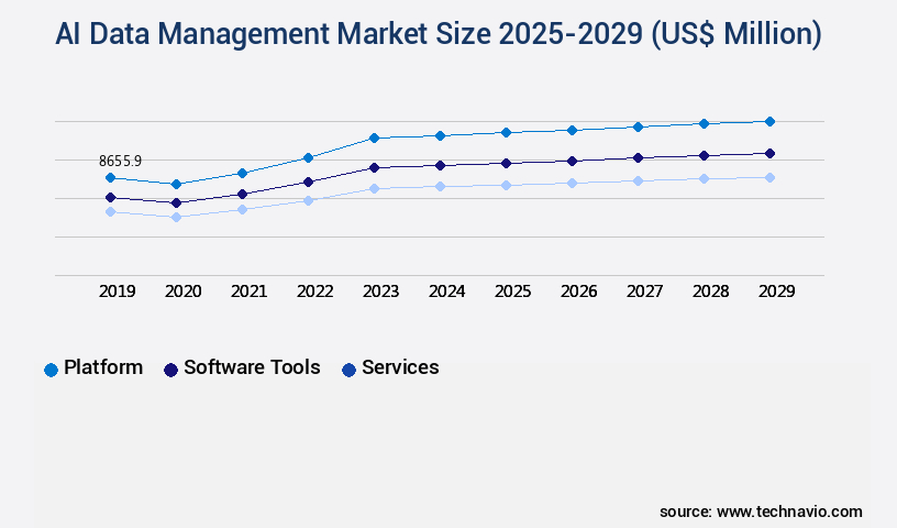 AI Data Management Market Size