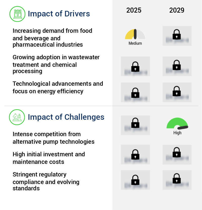 Industrial Lobe Pump Market Size
