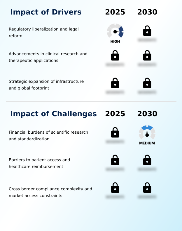 Foundry Equipment Market Size