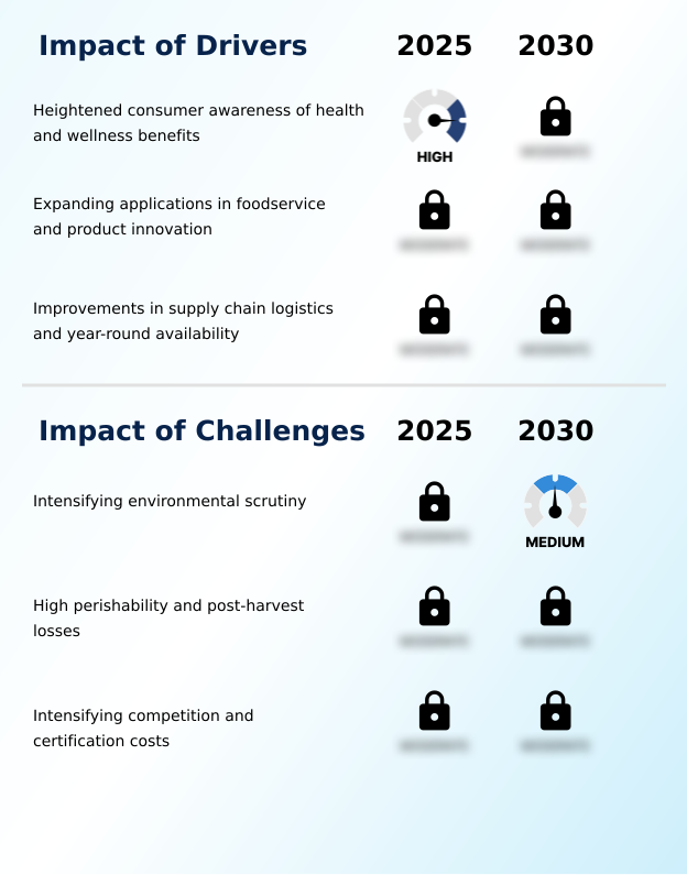 Foundry Equipment Market Size