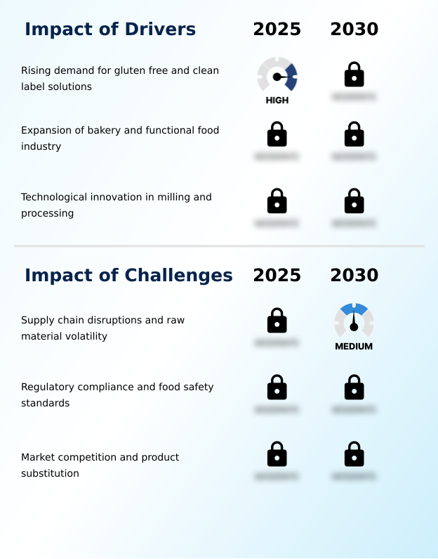 Foundry Equipment Market Size