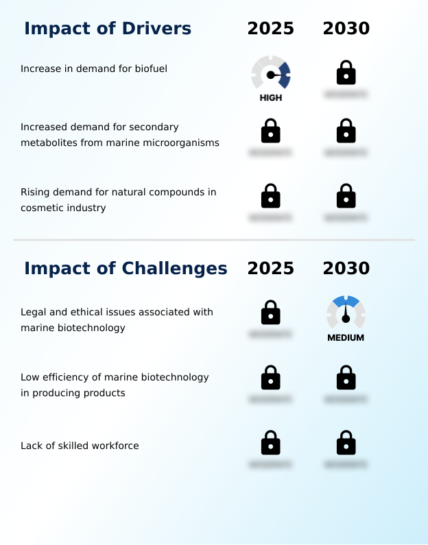 Foundry Equipment Market Size