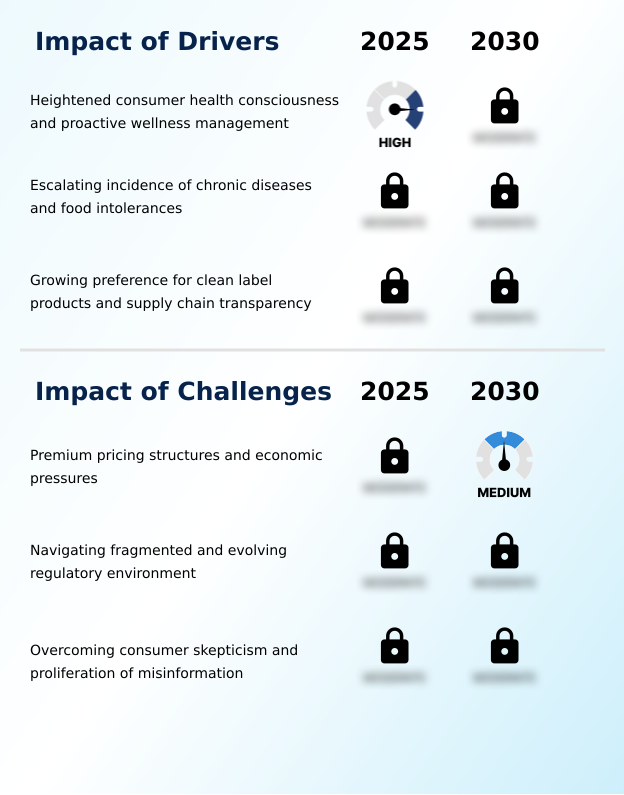 Foundry Equipment Market Size