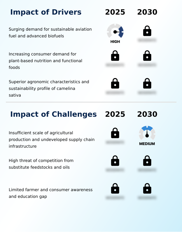 Foundry Equipment Market Size