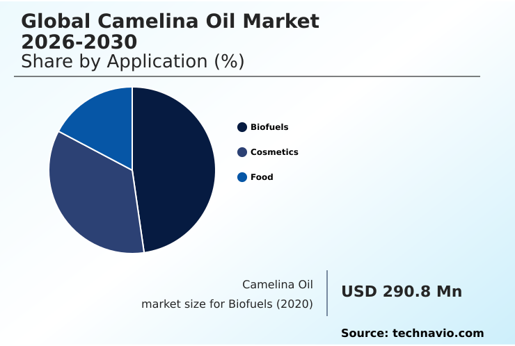 Foundry Equipment Market Size