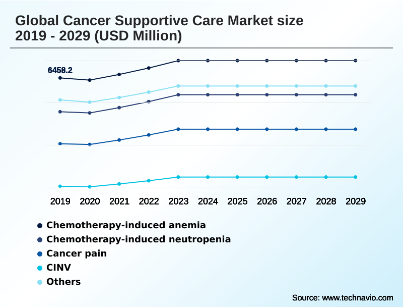 Cancer Supportive Care Market Segmentation