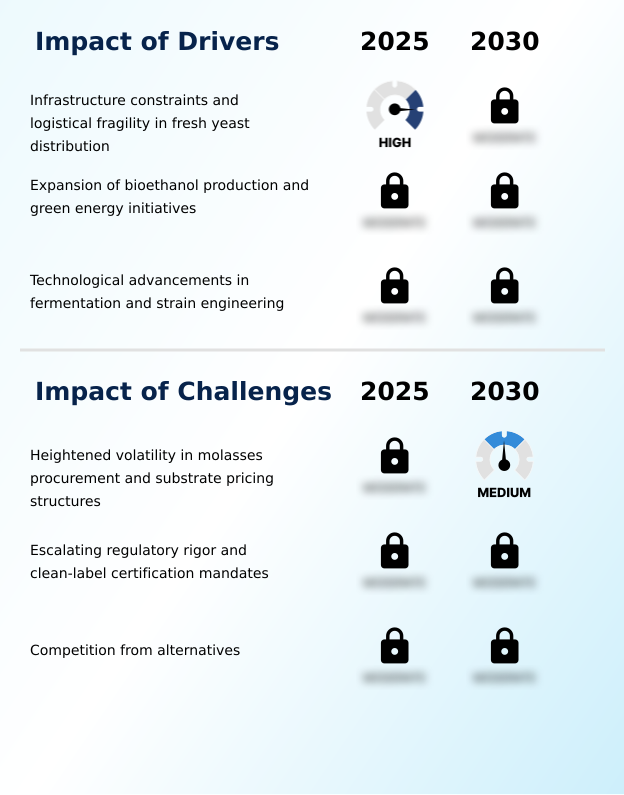 Foundry Equipment Market Size