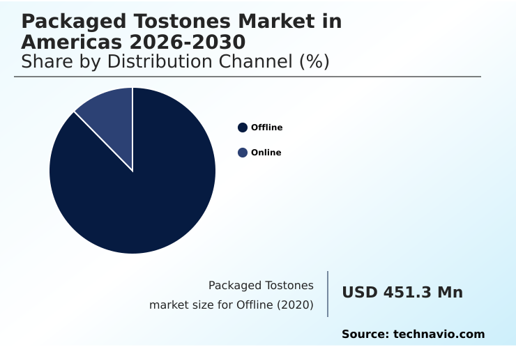 Americas Packaged Tostones Market Analysis, Size, and Forecast 2026-2030: North America (US and Canada), South America (Colombia and Brazil), Americas