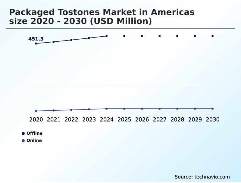 Americas Packaged Tostones Market Analysis, Size, and Forecast 2026-2030: North America (US and Canada), South America (Colombia and Brazil), Americas