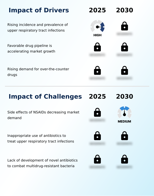 Upper Respiratory Tract Infection Treatment Market Analysis, Size, and Forecast 2026-2030: North America (US, Canada, and Mexico), Europe (Germany, UK, and France), Asia (China, India, and Japan), South America (Brazil, Argentina, and Colombia), Middle East and Africa (Saudi Arabia, UAE, and Turkey), Rest of World (ROW)