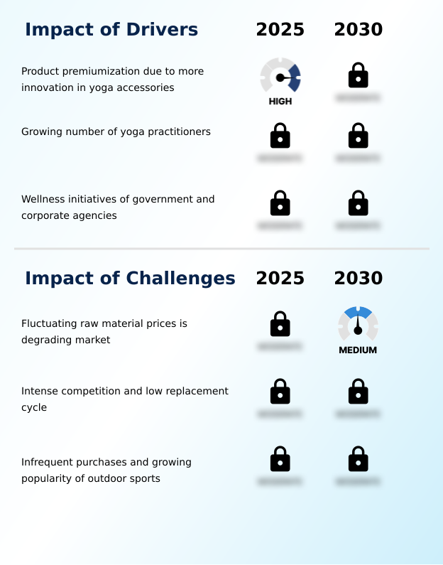 Yoga Accessories Market Analysis, Size, and Forecast 2026-2030: North America (US, Canada, and Mexico), APAC (China, Japan, and India), Europe (Germany, UK, and France), Middle East and Africa (Saudi Arabia, UAE, and South Africa), South America (Brazil and Argentina), and Rest of World (ROW)