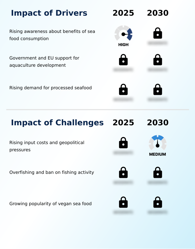 Foundry Equipment Market Size