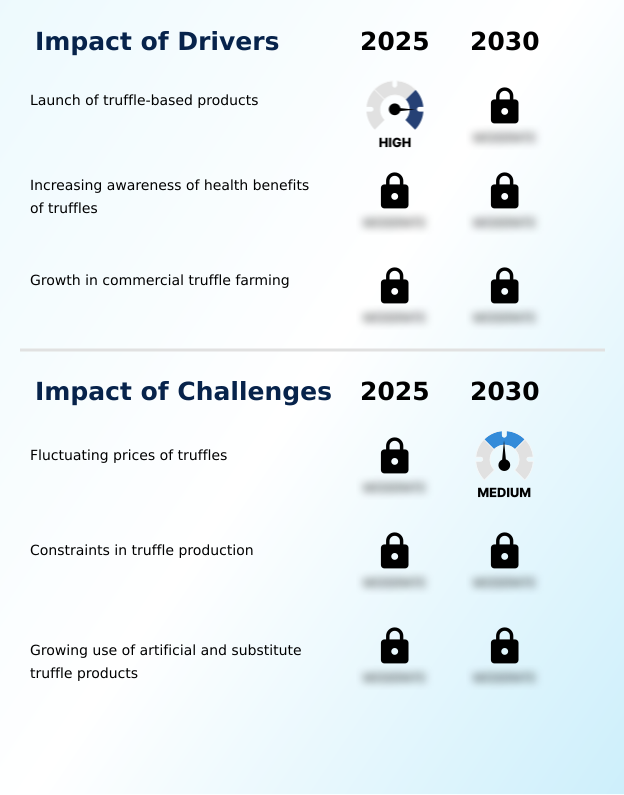 Foundry Equipment Market Size