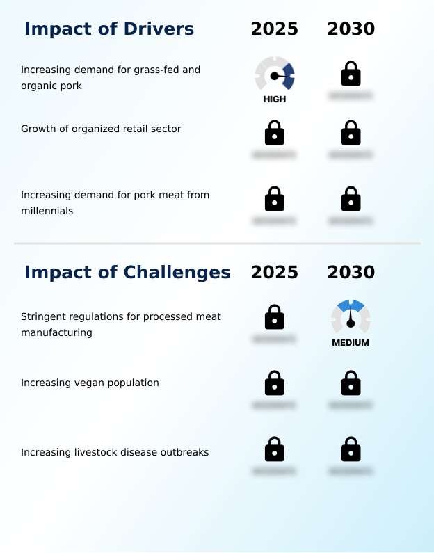 Foundry Equipment Market Size