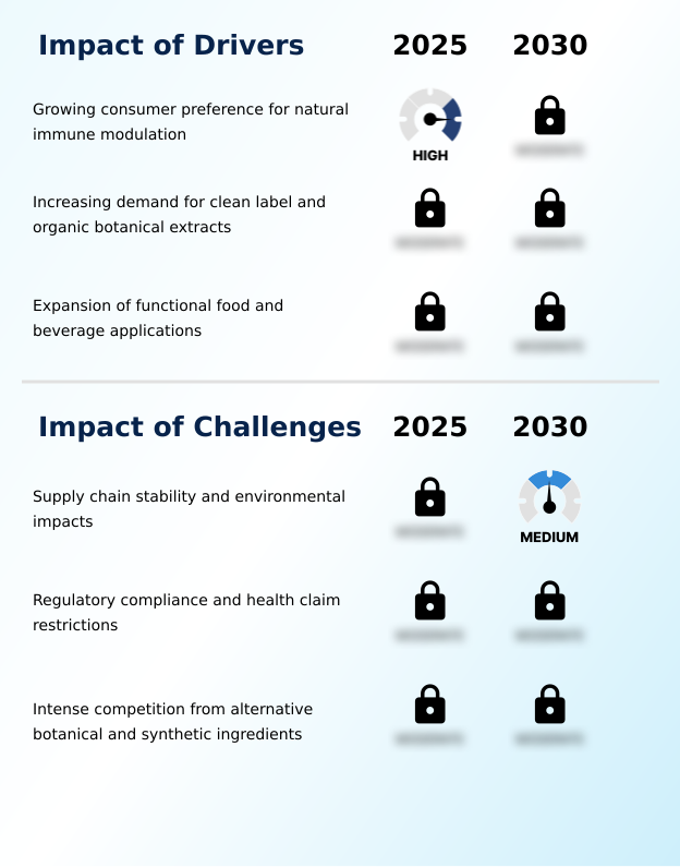 Foundry Equipment Market Size