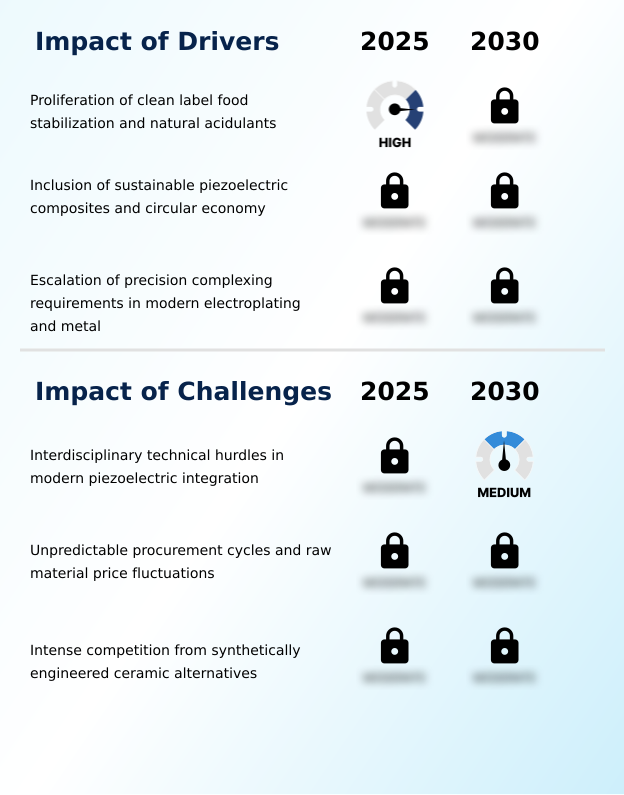 Rochelle Salt Market Analysis, Size, and Forecast 2026-2030: APAC (China, India, and Japan), Europe (Germany, UK, and France), North America (US, Canada, and Mexico), Middle East and Africa (Saudi Arabia, UAE, and Turkey), South America (Brazil and Argentina), and Rest of World (ROW)