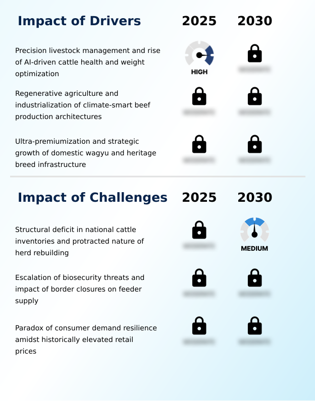 Foundry Equipment Market Size