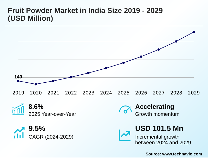 India Fruit Powder Market Size