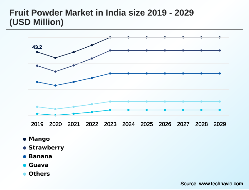 India Fruit Powder Market Segmentation
