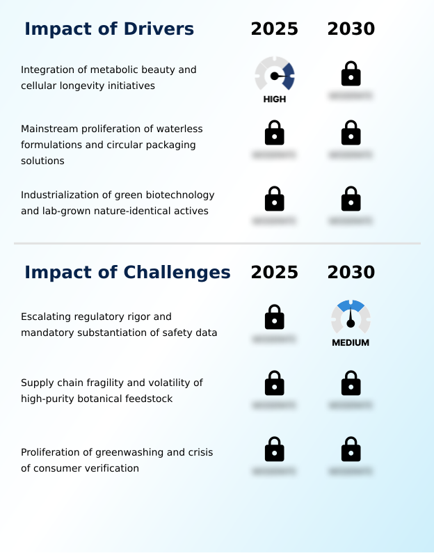 Foundry Equipment Market Size