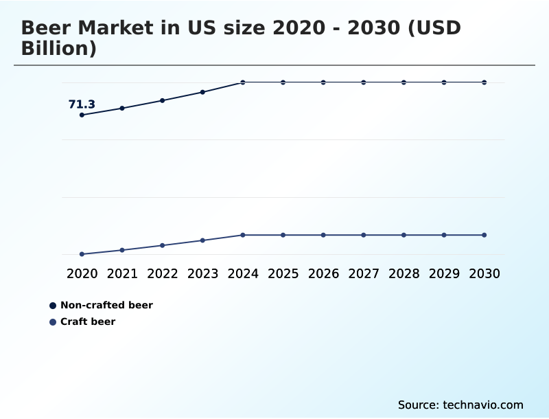 US Beer Market Analysis, Size, and Forecast 2026-2030