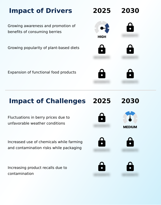 Foundry Equipment Market Size