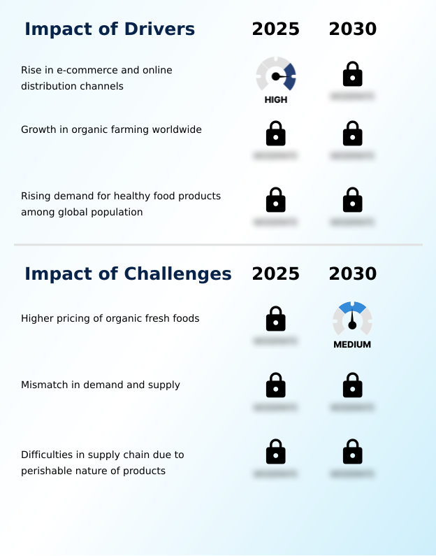 Foundry Equipment Market Size