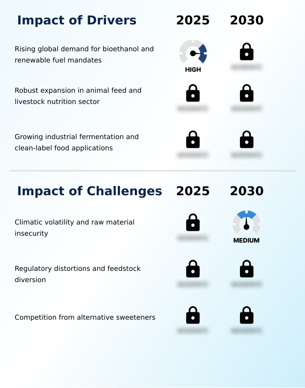 Foundry Equipment Market Size