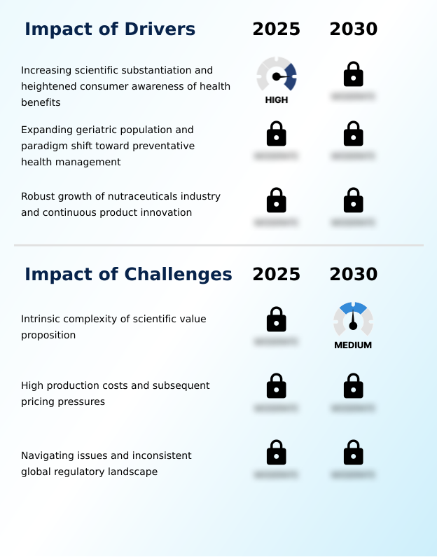 Foundry Equipment Market Size