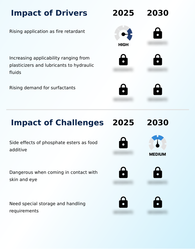 Foundry Equipment Market Size