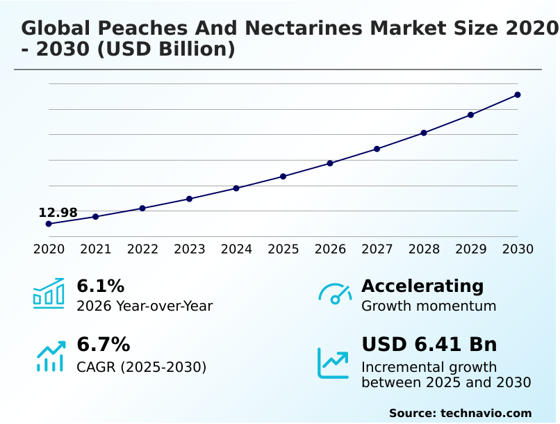 Peaches And Nectarines Market Analysis, Size, and Forecast 2026-2030: APAC (China, India, and Japan), Europe (Spain, Italy, and Greece), North America (US, Mexico, and Canada), South America (Chile, Argentina, and Brazil), Middle East and Africa (South Africa, Turkey, and Egypt), and Rest of World (ROW)