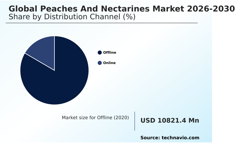 Peaches And Nectarines Market Analysis, Size, and Forecast 2026-2030: APAC (China, India, and Japan), Europe (Spain, Italy, and Greece), North America (US, Mexico, and Canada), South America (Chile, Argentina, and Brazil), Middle East and Africa (South Africa, Turkey, and Egypt), and Rest of World (ROW)