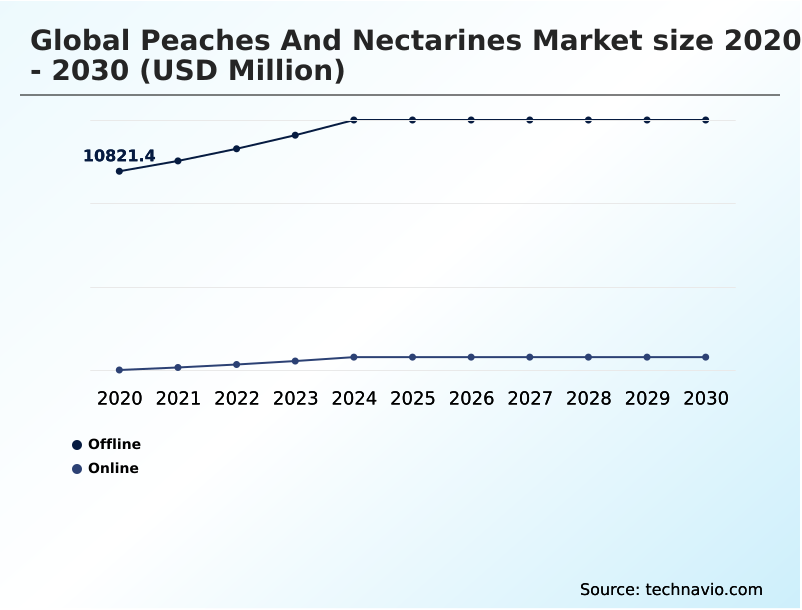 Peaches And Nectarines Market Analysis, Size, and Forecast 2026-2030: APAC (China, India, and Japan), Europe (Spain, Italy, and Greece), North America (US, Mexico, and Canada), South America (Chile, Argentina, and Brazil), Middle East and Africa (South Africa, Turkey, and Egypt), and Rest of World (ROW)