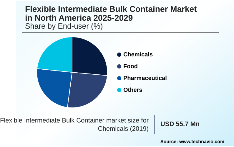 North America Flexible Intermediate Bulk Container Market Market segmentation by region