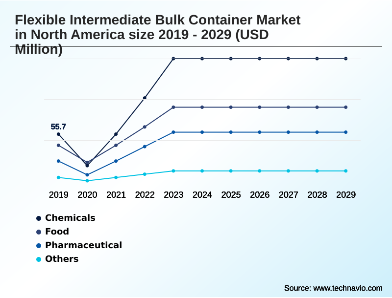 North America Flexible Intermediate Bulk Container Market Segmentation
