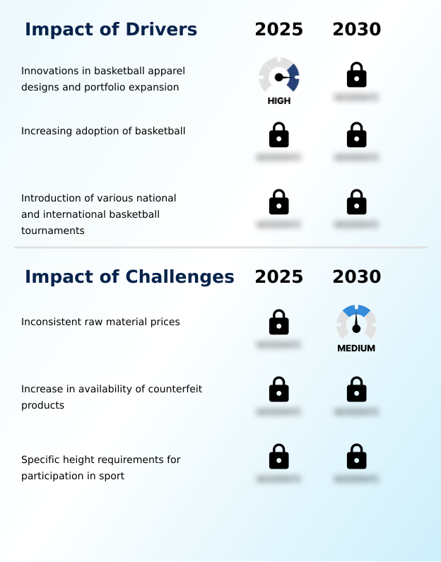 Basketball Apparel Market Analysis, Size, and Forecast 2026-2030: North America (US, Canada, and Mexico), Europe (Germany, UK, and France), APAC (China, Japan, and India), South America (Brazil, Argentina, and Chile), Middle East and Africa (Saudi Arabia, UAE, and South Africa), and Rest of World (ROW)