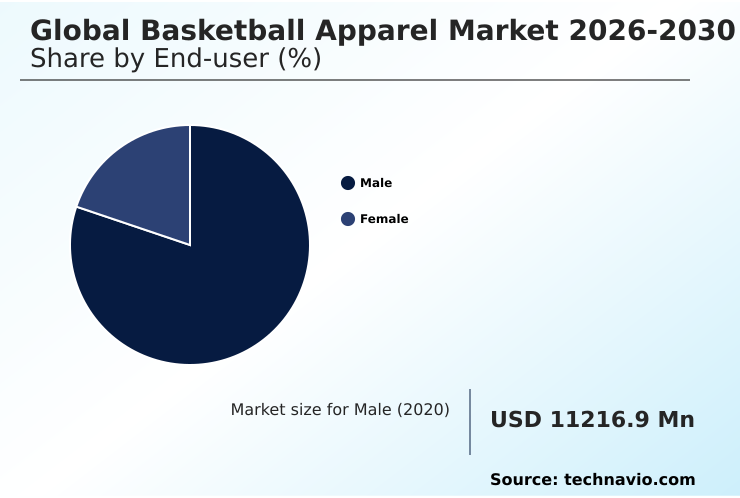 Basketball Apparel Market Analysis, Size, and Forecast 2026-2030: North America (US, Canada, and Mexico), Europe (Germany, UK, and France), APAC (China, Japan, and India), South America (Brazil, Argentina, and Chile), Middle East and Africa (Saudi Arabia, UAE, and South Africa), and Rest of World (ROW)