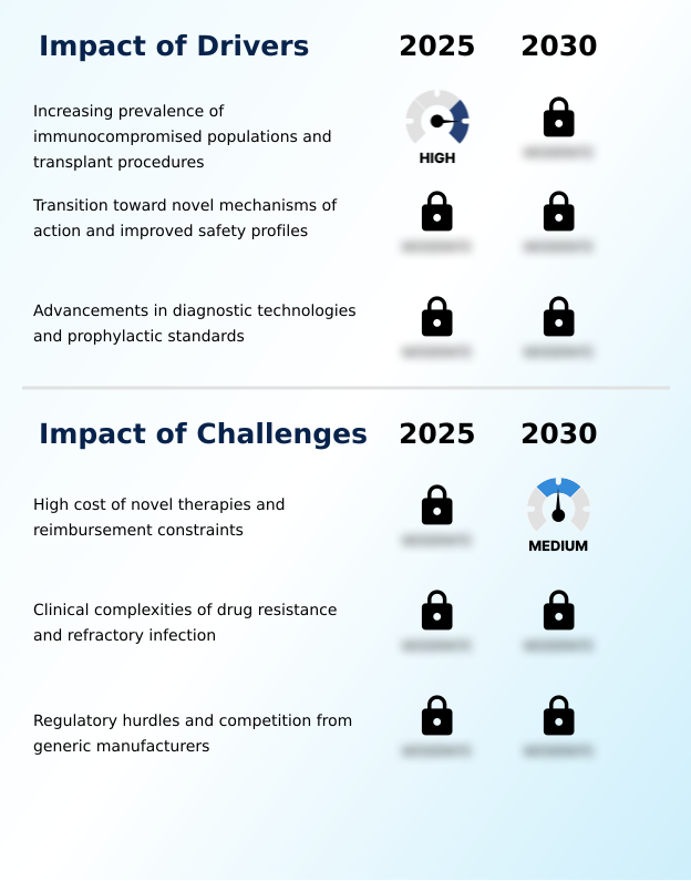 Foundry Equipment Market Size