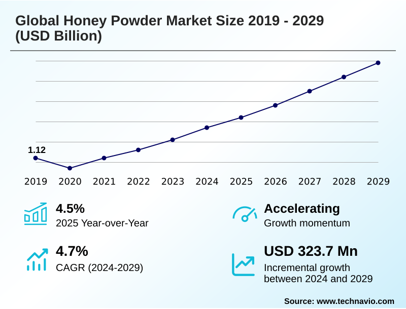 Honey Powder Market Size