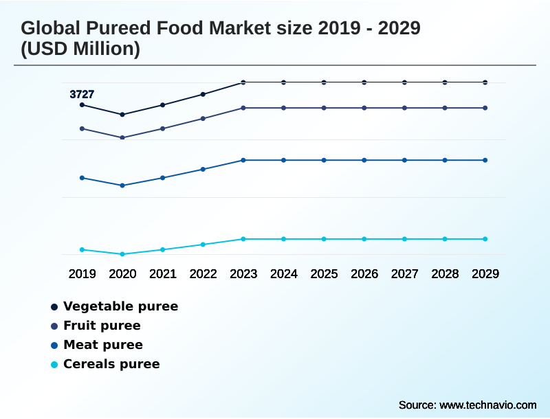 Pureed Food Market Segmentation