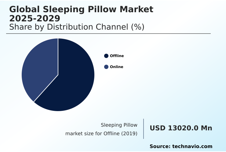 Sleeping Pillow Market Market segmentation by region