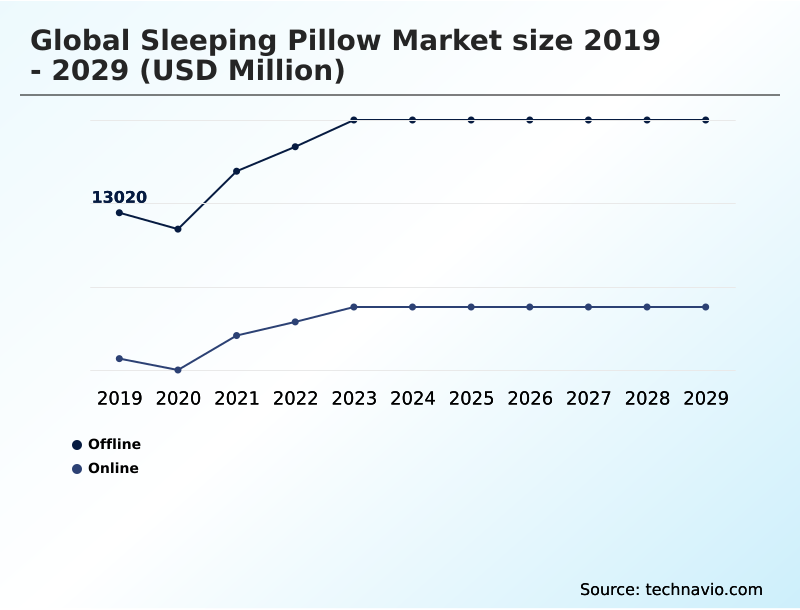 Sleeping Pillow Market Segmentation