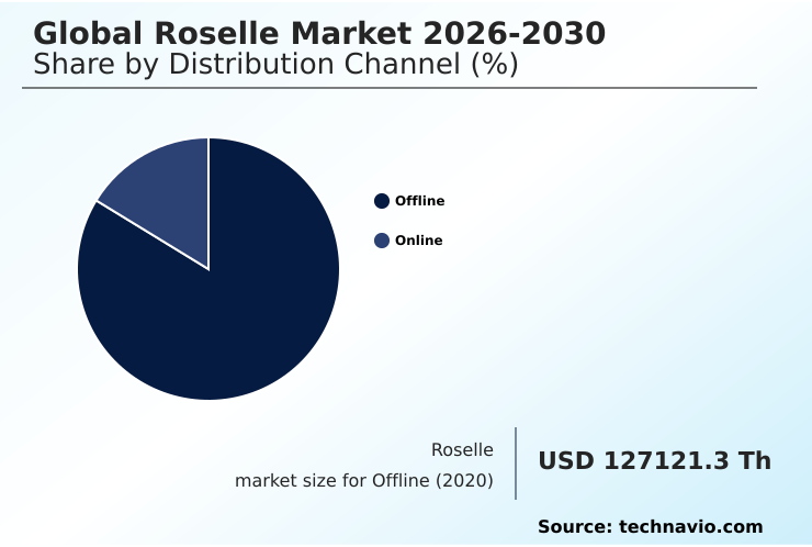 Roselle Market Analysis, Size, and Forecast 2026-2030: Middle East and Africa (Saudi Arabia, UAE, and South Africa), APAC (China, Japan, and India), North America (US, Canada, and Mexico), Europe (Germany, UK, and France), South America (Brazil and Argentina), and Rest of World (ROW)