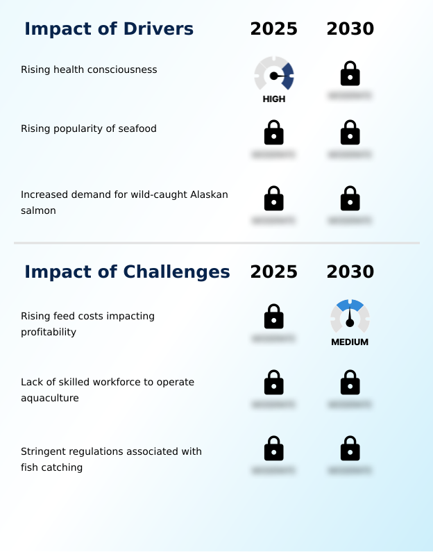 Foundry Equipment Market Size
